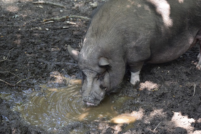 到访和热情 到访和热情