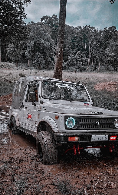 每一笔重量 每一笔重量