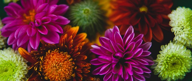 防守端的稳 防守端的稳