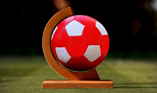 的主要原因 的主要原因