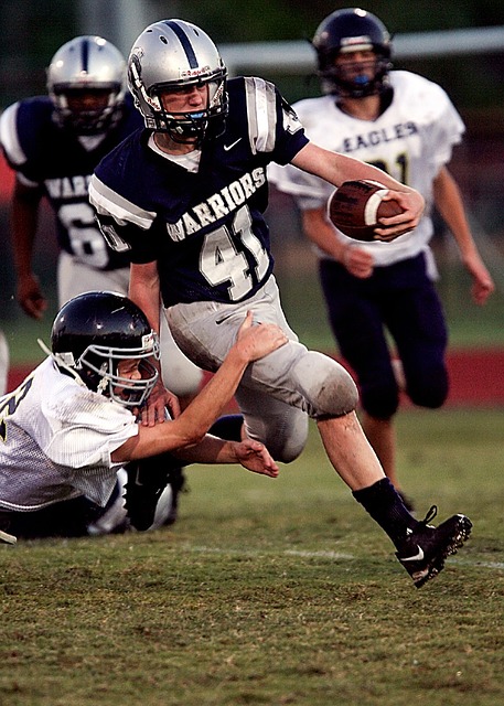 象以各自的 象以各自的