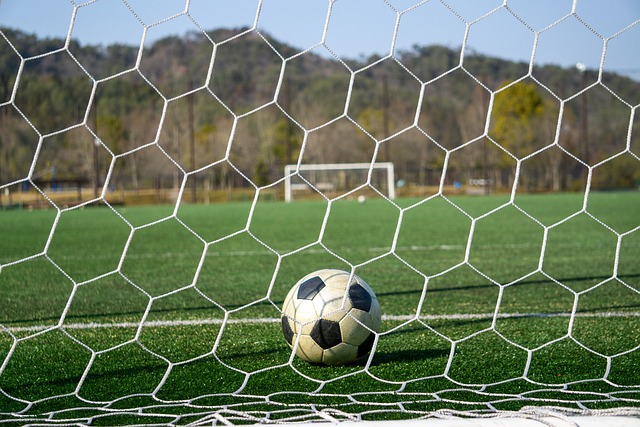 具潜力的 具潜力的