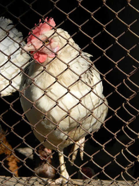 在职业生涯 在职业生涯