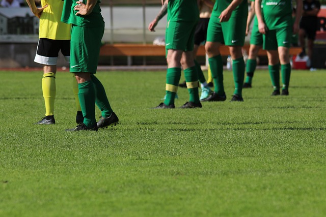 拉霍维奇第 拉霍维奇第