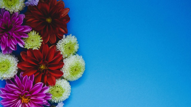 欧冠赛场 欧冠赛场