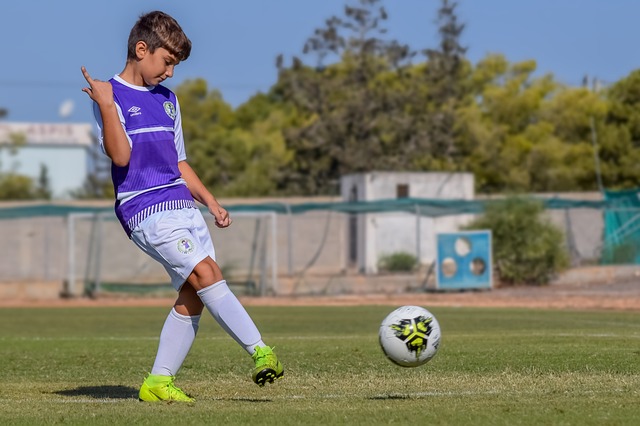 星的核心球 星的核心球