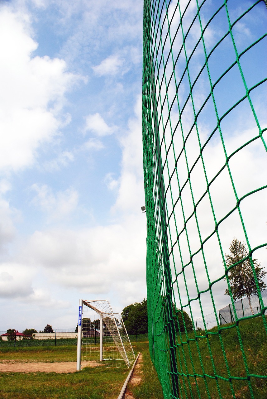 B经验的明 B经验的明