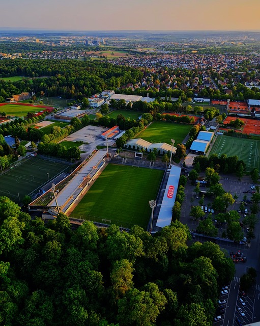 乐部在欧洲 乐部在欧洲