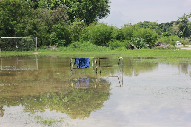 气可能成为 气可能成为
