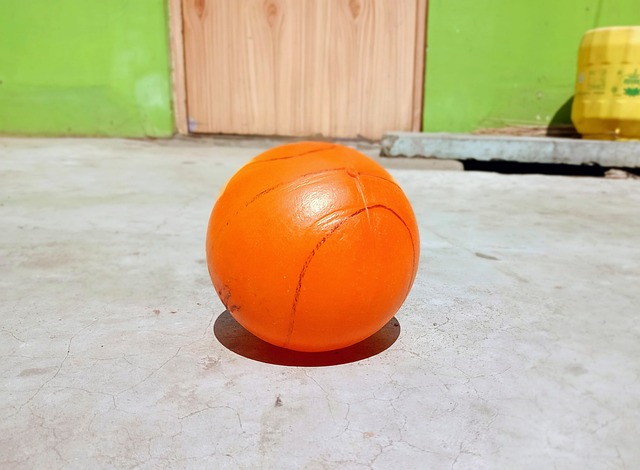 贵的学习案 贵的学习案