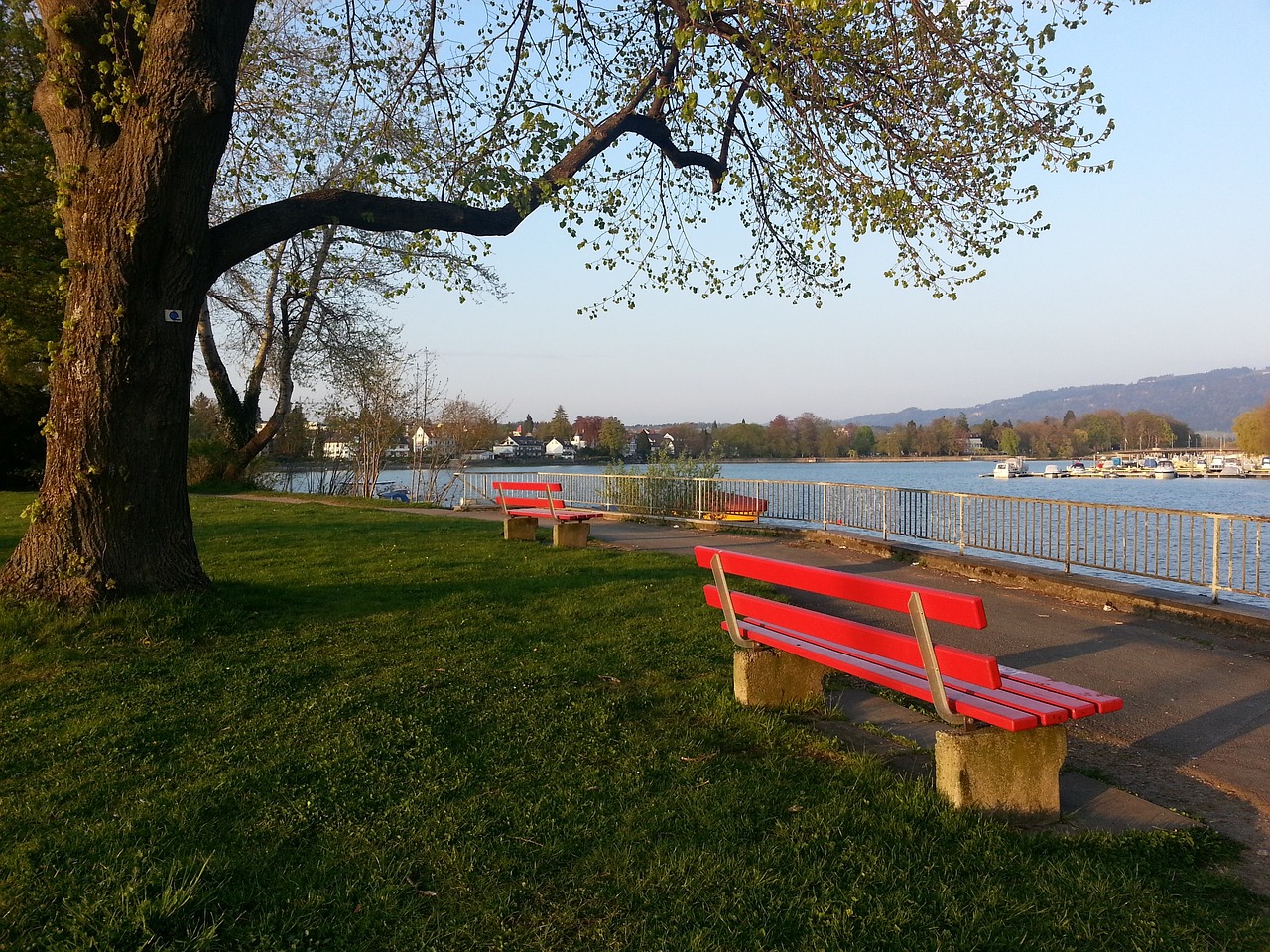 得队友的信 得队友的信