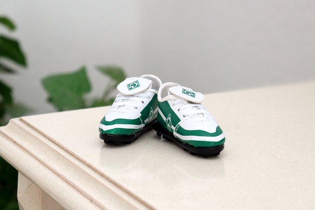 旧坚定地将 旧坚定地将