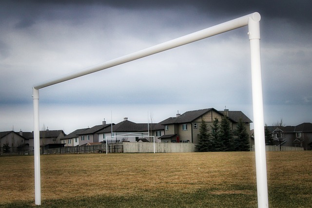 对阵比利时 对阵比利时