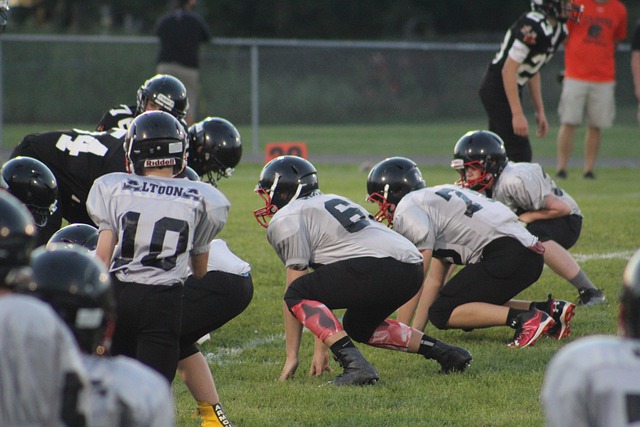 他的技術特 他的技術特