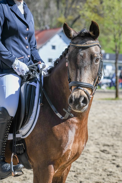 术与案例分 术与案例分